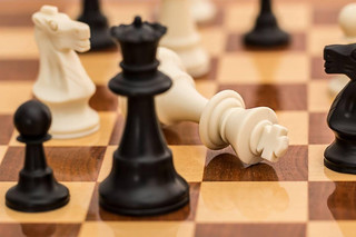 шахматы, расизм, австралия