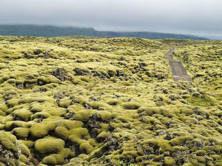 лавовое поле исландия