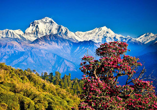 Эверест непал