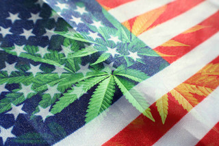 марихуана нью-йорк легализация