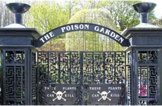 смертоносный сад британия алник The Alnwick Garden