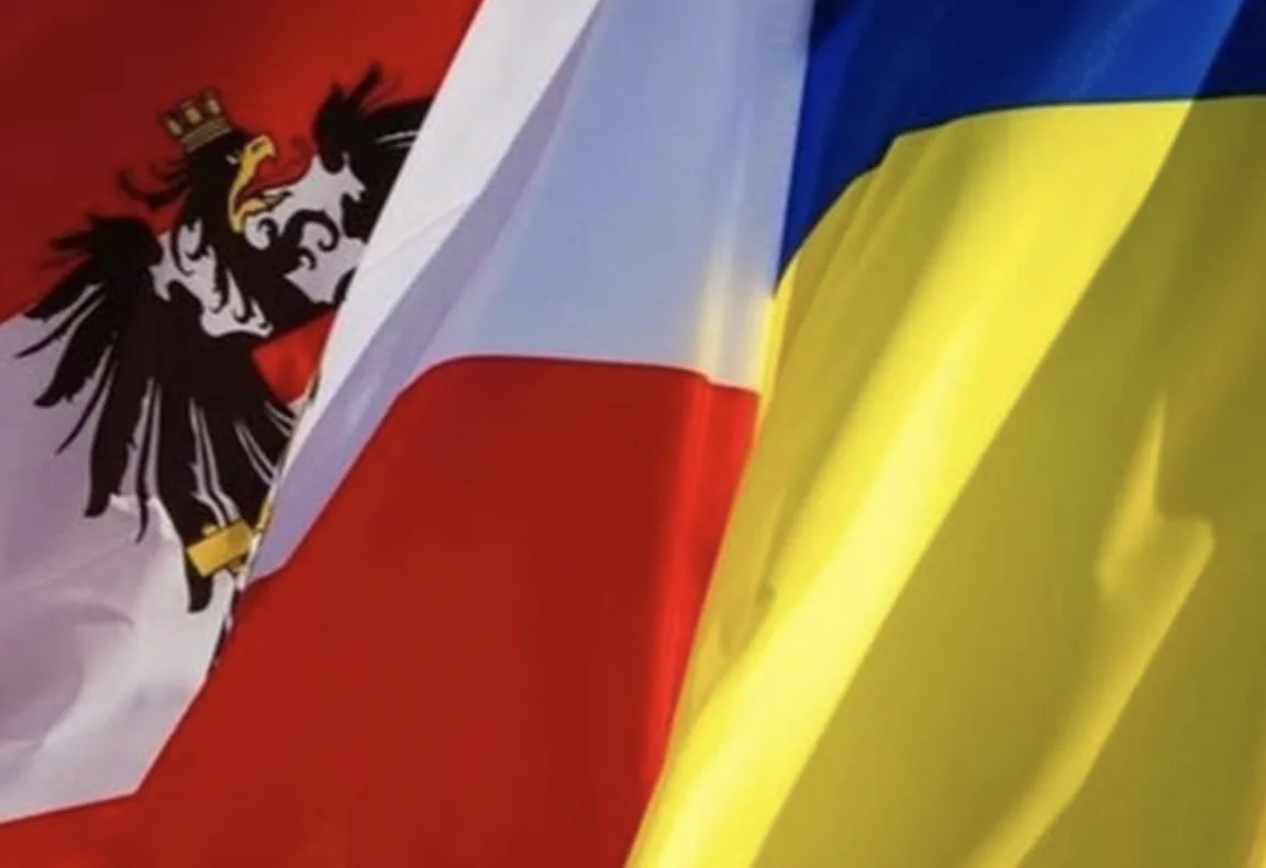 За передачу Україні російських активів після рішення суду виступає Австрія