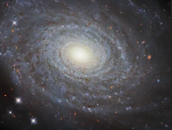 Спиральную галактику NGC 691 детализировал Хаббл
