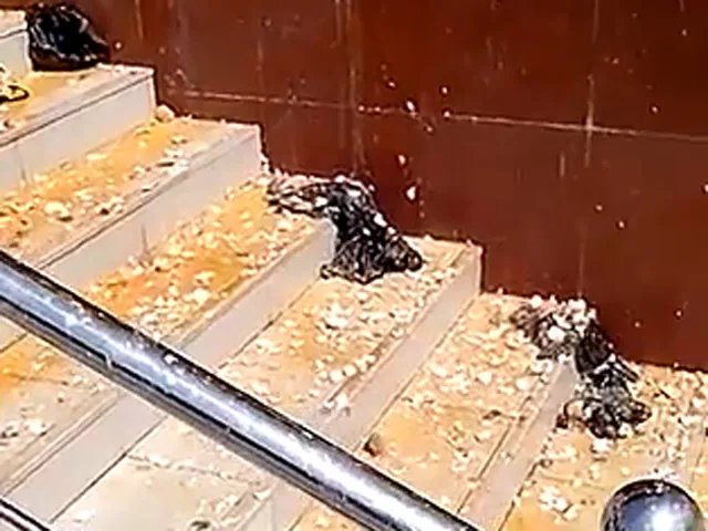 "Билайн" закрыл все офисы в Чечне после погрома в Грозном. ВИДЕО