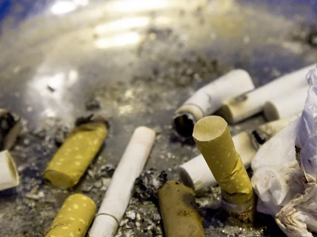 500 дирхемов за окурок – борьба за чистоту в Дубае 500 дирхемов за окурок - борьба за чистоту в Дубае