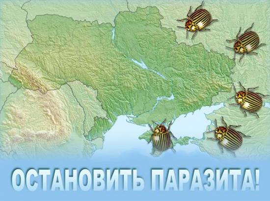 Готовы признаться себе, что ведут войну с Украиной только 26% россиян