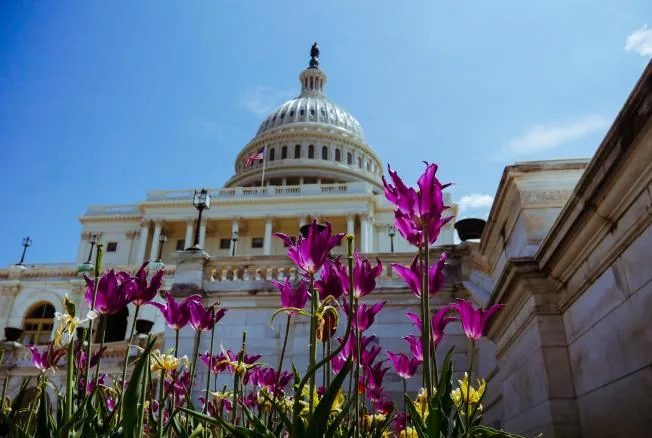 Секретний брифінг щодо України проведуть для сенаторів США Секретний брифінг щодо України проведуть для сенаторів США