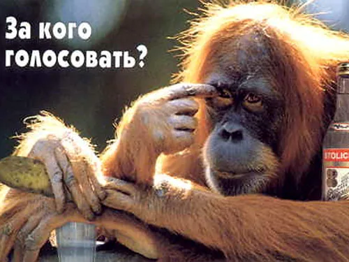 Оказалось, люди не так умны, чтобы избрать себе достойного лидера Оказалось, люди не так умны, чтобы избрать себе достойного лидера