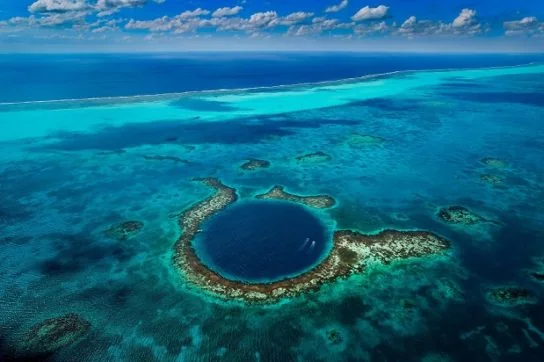 Смогут ли моря прокормить человечество после ядерной войны? Смогут ли моря прокормить человечество после ядерной войны?