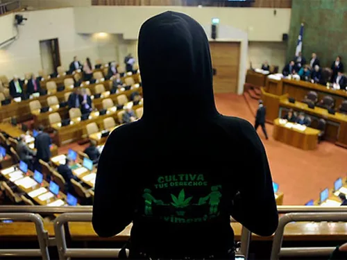 Одобрила легализацию марихуаны для личного потребления палата депутатов Чили Одобрила легализацию марихуаны для личного потребления палата депутатов Чили