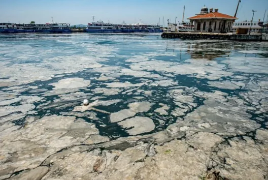 Cлизь покрыла Мраморное море Cлизь покрыла Мраморное море