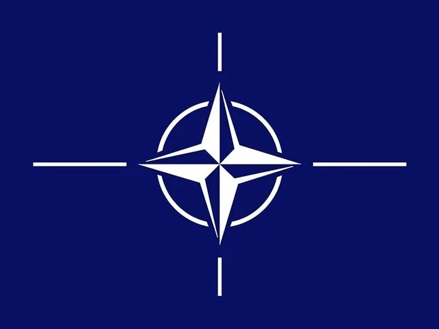 Приняла декларацию в поддержку Грузии, назвав Россию ее главной угрозой, парламентская ассамблея НАТО