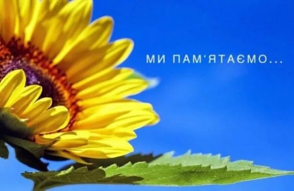 Трагічна історія і чому символом став саме соняшник - День пам’яті загиблих захисників України