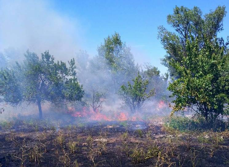 Чрезвычайный уровень пожарной опасности объявили В Украине Чрезвычайный уровень пожарной опасности объявили В Украине