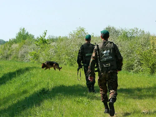 Количество провокаций на украинско-российской границе увеличилось. РФ продолжает стягивать войска