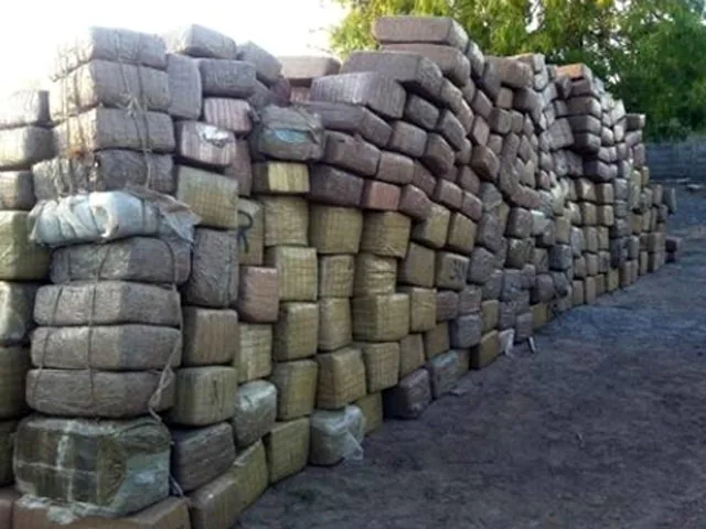 Военные в Мексике конфисковали более 14 тонн марихуаны