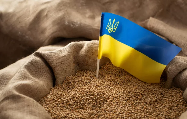 Нову угоду про експорт української агропродукції до Європи вітає Німеччина