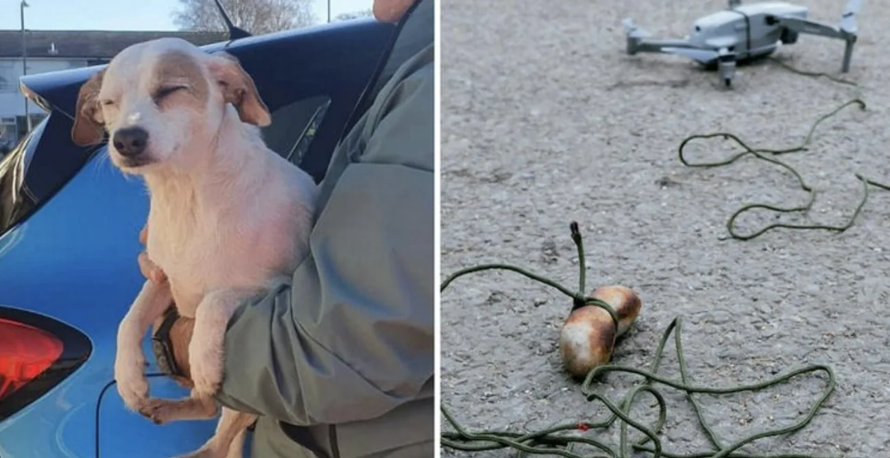 С помощью дрона и привязанной к нему сосиски в Англии спасли собаку