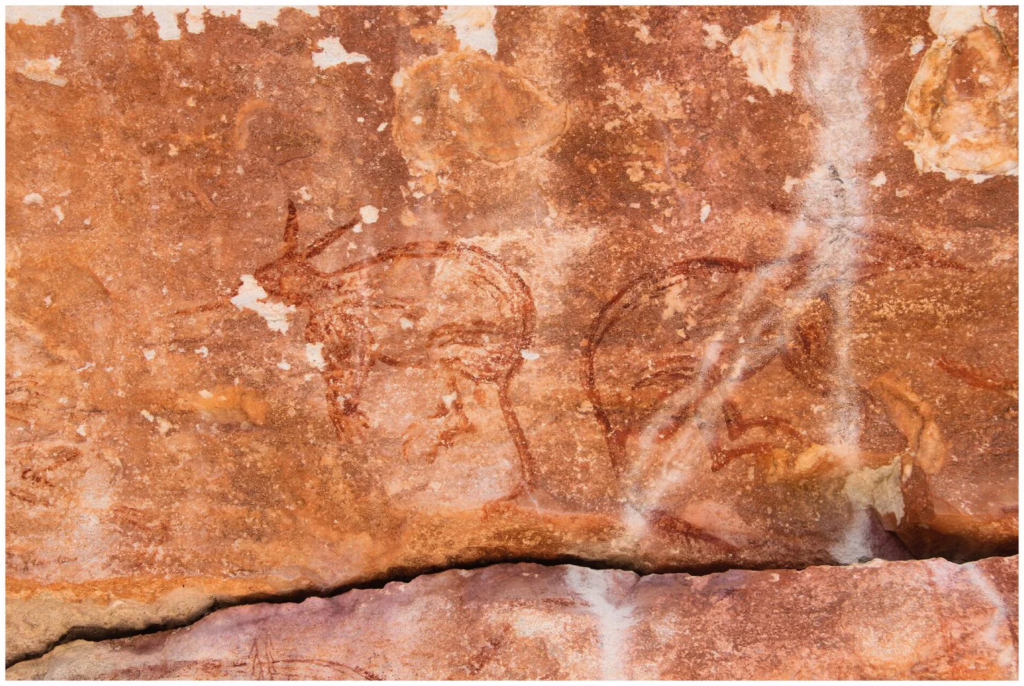 Наскальные рисунки обнаружили в Австралии. ФОТО Наскальные рисунки обнаружили в Австралии. ФОТО