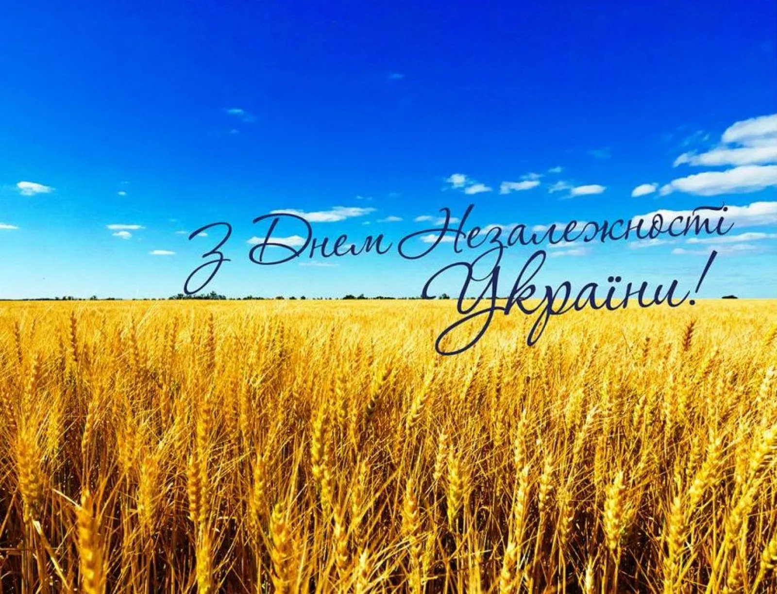 35-й День Незалежності України