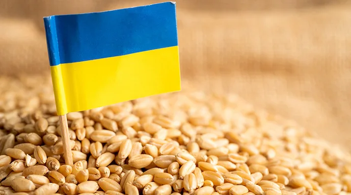 експорт зерна України серпень 2026, Україна, зерно, експорт, аграрії, Чорне море
