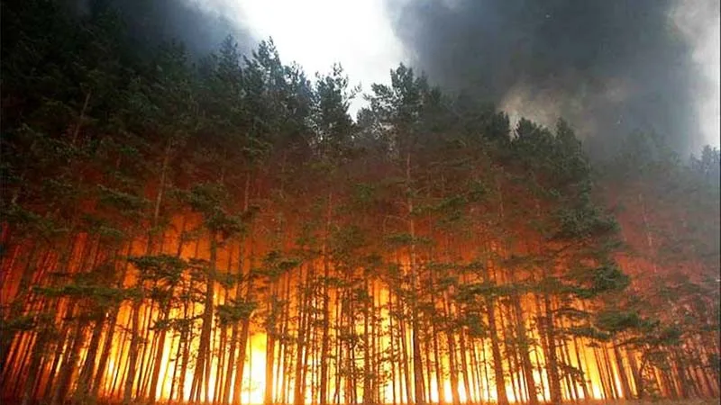 пожежі Індонезія 43 гелікоптери смог Малайзія, Індонезія, пожежі, Малайзія, Ель-Ніньйо, смог
