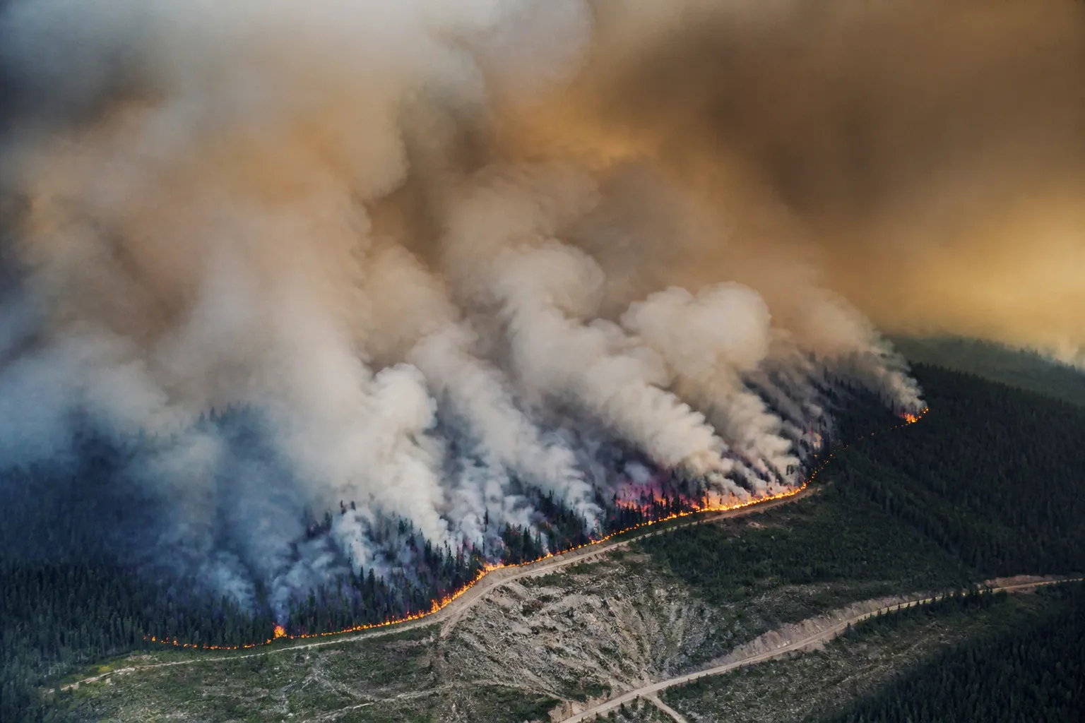 Bald Range Fire Британська Колумбія 184 км², Канада, Британська Колумбія, пожежі, Bald Range Fire, клімат